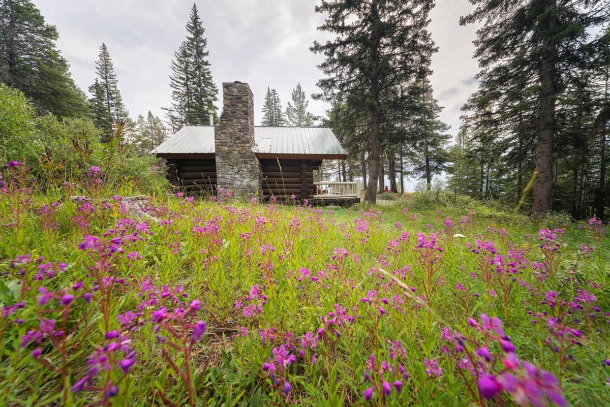Storm Mountain Lodge & Cabins Castle Junction Exterior foto