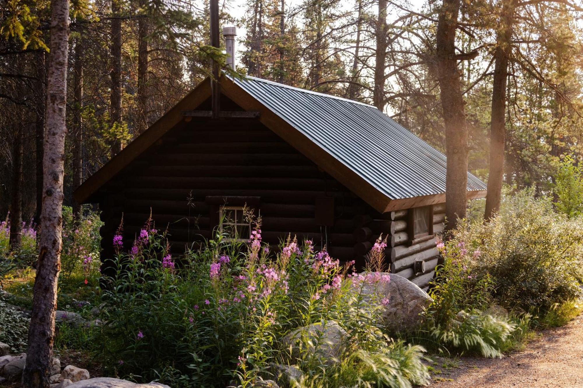 Storm Mountain Lodge & Cabins Castle Junction Exterior foto